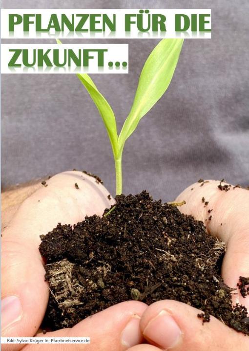 Pflanzen für die Zukunft